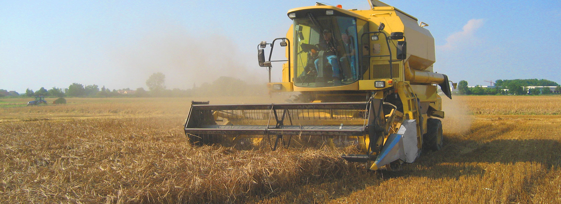 soy and cereals header
